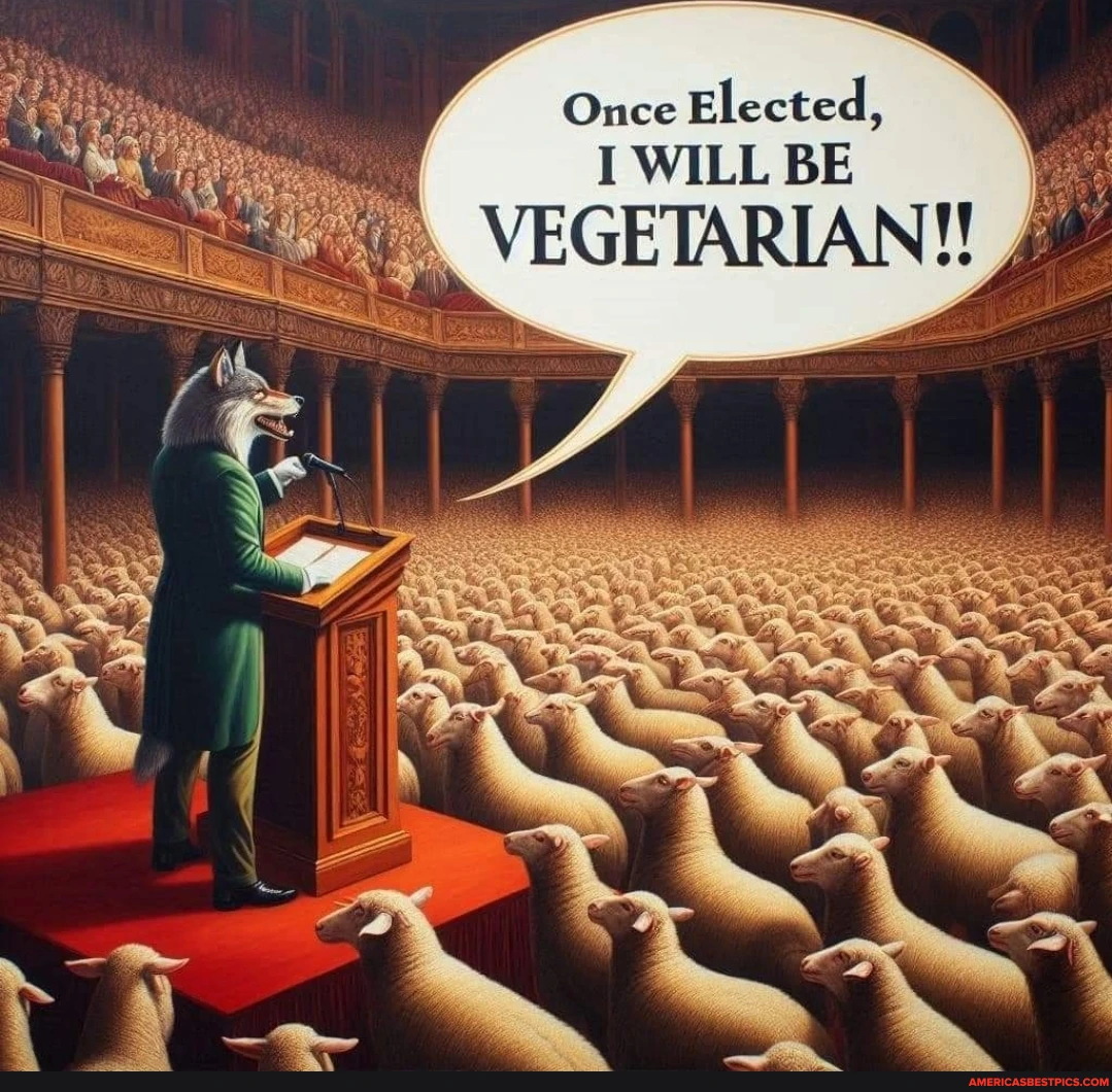 Once elected Election promises MAGA dishonest Blank Meme Template