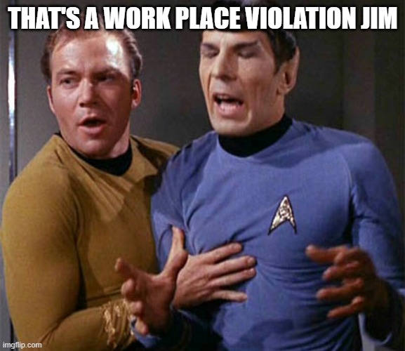 Violation | THAT'S A WORK PLACE VIOLATION JIM | image tagged in star trek jim kirk spock sock | made w/ Imgflip meme maker