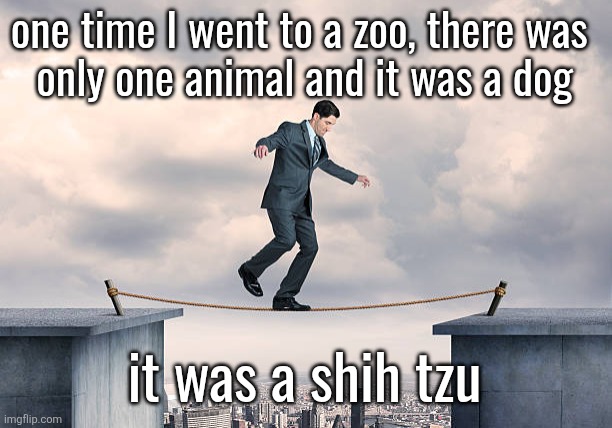 man walking on rope | one time I went to a zoo, there was 
only one animal and it was a dog; it was a shih tzu | image tagged in man walking on rope | made w/ Imgflip meme maker