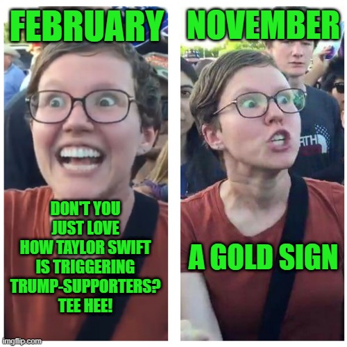 The Gilded Oval Office Sign | NOVEMBER; FEBRUARY; DON'T YOU JUST LOVE HOW TAYLOR SWIFT IS TRIGGERING TRUMP-SUPPORTERS? TEE HEE! A GOLD SIGN | image tagged in sjw happy then triggered | made w/ Imgflip meme maker
