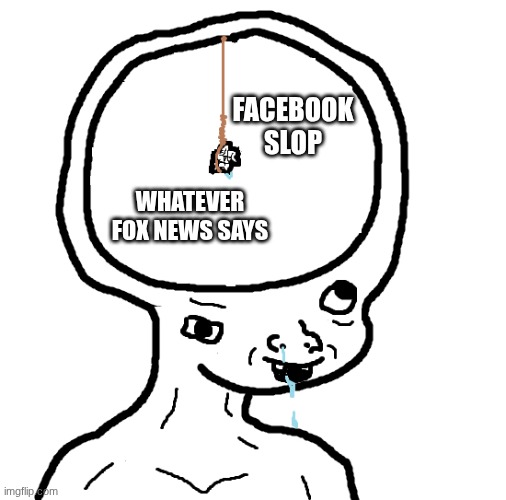 Dumb wojak | WHATEVER FOX NEWS SAYS FACEBOOK SLOP | image tagged in dumb wojak | made w/ Imgflip meme maker
