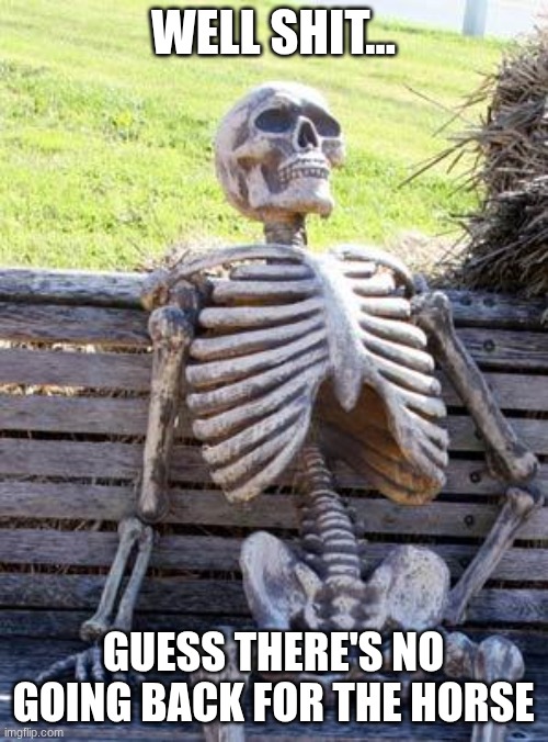 Waiting Skeleton Meme | WELL SHIT... GUESS THERE'S NO GOING BACK FOR THE HORSE | image tagged in memes,waiting skeleton | made w/ Imgflip meme maker