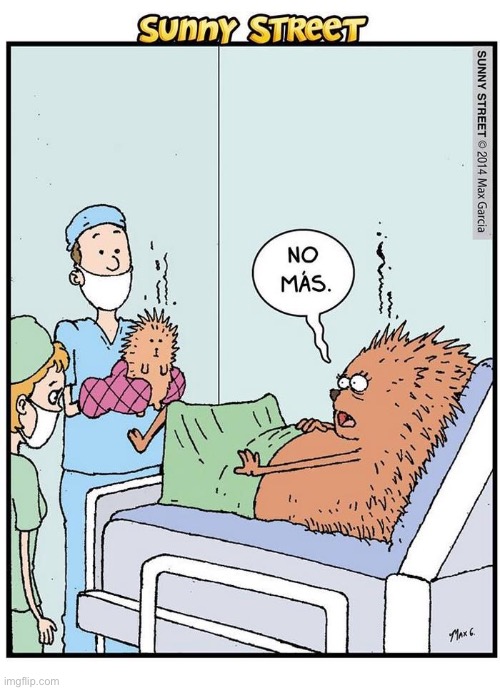 image tagged in comics,sunny street,porcupines,delivery room,painful birth,baby | made w/ Imgflip meme maker