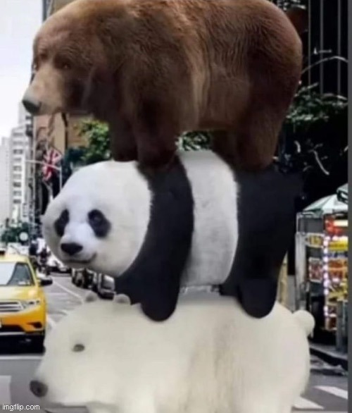 we bare bears real Blank Meme Template