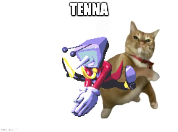 Chain? | TENNA | image tagged in throwing cat new | made w/ Imgflip meme maker