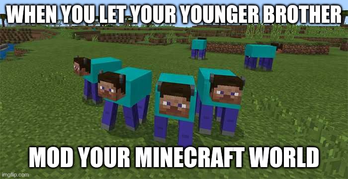 me and the boys | WHEN YOU LET YOUR YOUNGER BROTHER; MOD YOUR MINECRAFT WORLD | image tagged in me and the boys | made w/ Imgflip meme maker