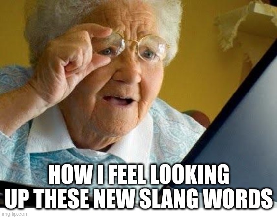 i feel old man :( | HOW I FEEL LOOKING UP THESE NEW SLANG WORDS | image tagged in old lady at computer,slang,im old | made w/ Imgflip meme maker