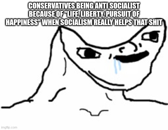 Drooling Brainless Idiot | CONSERVATIVES BEING ANTI SOCIALIST BECAUSE OF "LIFE, LIBERTY, PURSUIT OF HAPPINESS" WHEN SOCIALISM REALLY HELPS THAT SHIT | image tagged in drooling brainless idiot | made w/ Imgflip meme maker