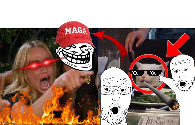 Woman Yelling At Cat Meme | image tagged in memes,woman yelling at cat | made w/ Imgflip meme maker