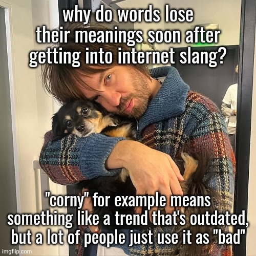 Kevin Parker hugging puppy | why do words lose their meanings soon after getting into internet slang? "corny" for example means something like a trend that's outdated, but a lot of people just use it as "bad" | image tagged in kevin parker hugging puppy | made w/ Imgflip meme maker