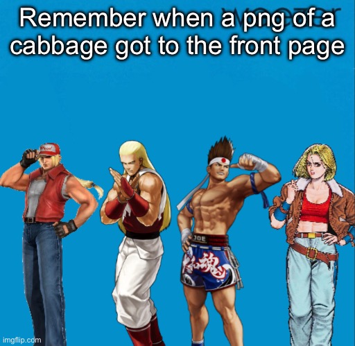 Fatal fury but it’s weezer | Remember when a png of a cabbage got to the front page | image tagged in fatal fury but it s weezer | made w/ Imgflip meme maker