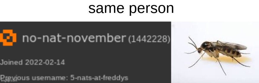 same person | made w/ Imgflip meme maker