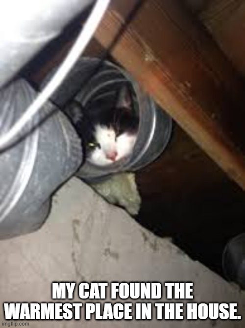 The cat found the warmest place in the house.  --  funny  -- | MY CAT FOUND THE WARMEST PLACE IN THE HOUSE. | image tagged in cat,funny,kittens,humor,warm,hide | made w/ Imgflip meme maker