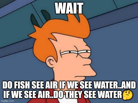 Futurama Fry | WAIT; DO FISH SEE AIR IF WE SEE WATER..AND IF WE SEE AIR..DO THEY SEE WATER🤔 | image tagged in memes,futurama fry | made w/ Imgflip meme maker