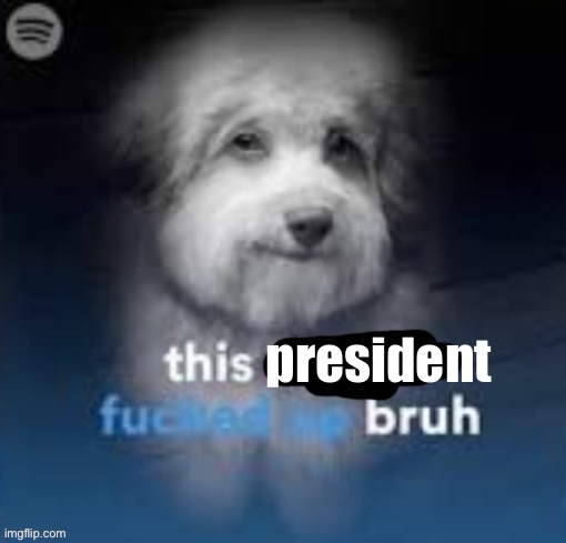 this dog is fucked up bruh | president | image tagged in this dog is fucked up bruh | made w/ Imgflip meme maker