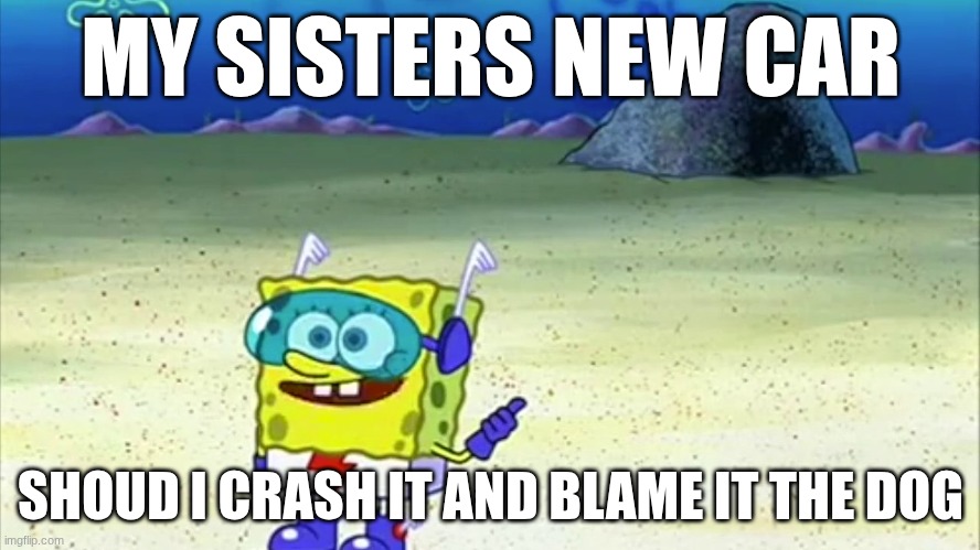 Meme | MY SISTERS NEW CAR; SHOUD I CRASH IT AND BLAME IT THE DOG | image tagged in spongebob wanna see me do it again | made w/ Imgflip meme maker