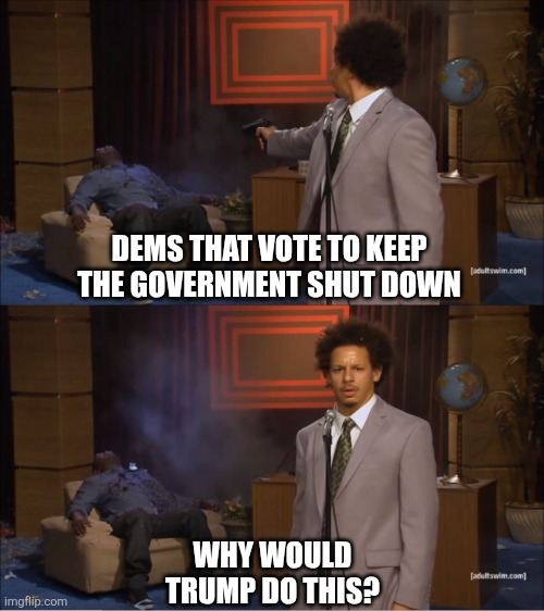 Government shutdown | DEMS THAT VOTE TO KEEP THE GOVERNMENT SHUT DOWN; WHY WOULD TRUMP DO THIS? | image tagged in guy shoots recliner guy | made w/ Imgflip meme maker