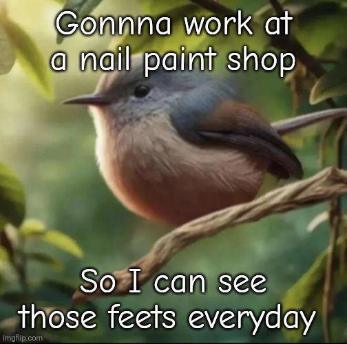 T | Gonnna work at a nail paint shop; So I can see those feets everyday | image tagged in no balls,i need help,and a gf | made w/ Imgflip meme maker