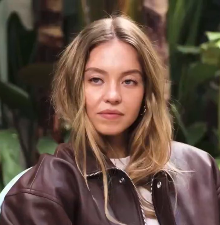 Sydney Sweeney the pathetic stare Blank Meme Template