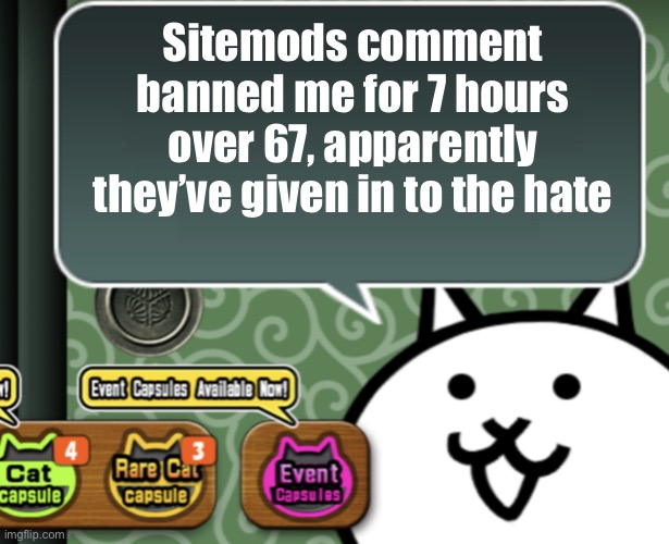How unfortunate, right as I’m gonna go sleep | Sitemods comment banned me for 7 hours over 67, apparently they’ve given in to the hate | image tagged in the basic cat says something | made w/ Imgflip meme maker
