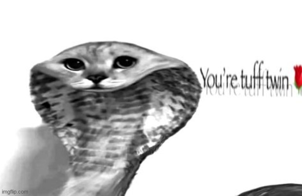 some1 just started swearing at the teach bruh like there was hard r and everything | made w/ Imgflip meme maker