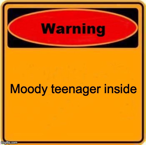Warning Sign | Moody teenager inside | image tagged in memes,warning sign | made w/ Imgflip meme maker