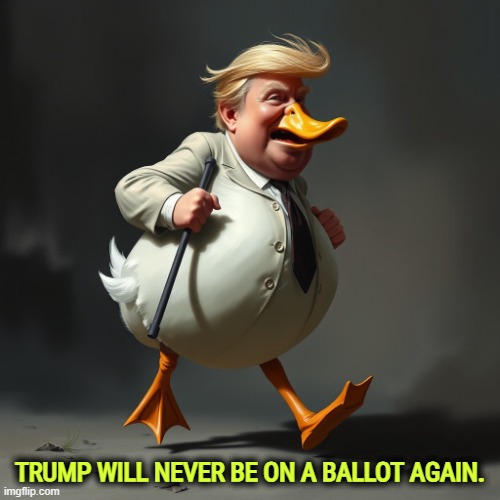 Donald Trump, Lame Duck | TRUMP WILL NEVER BE ON A BALLOT AGAIN. | image tagged in donald trump lame duck,trump,lame duck,quack | made w/ Imgflip meme maker