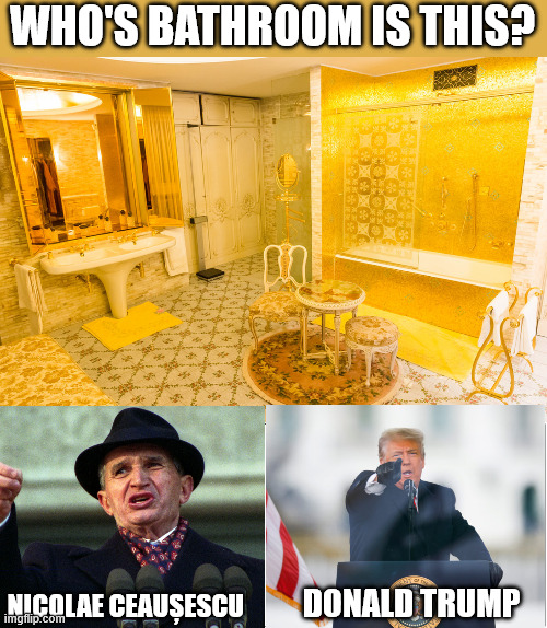 Got a guess? (posting for no specific reason...) | WHO'S BATHROOM IS THIS? NICOLAE CEAUȘESCU; DONALD TRUMP | image tagged in memes,blank comic panel 2x1,trump bathroom | made w/ Imgflip meme maker