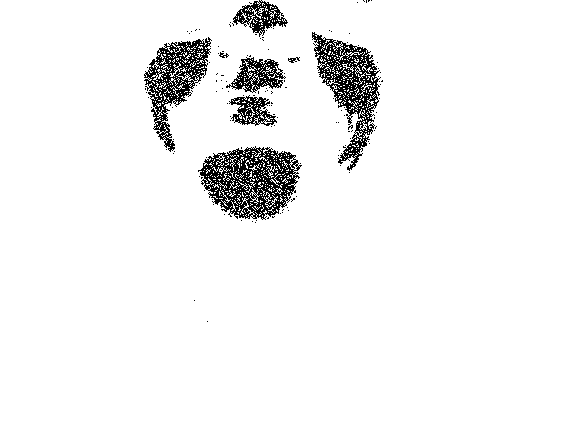 Hamilton Long.mp4 Blank Meme Template