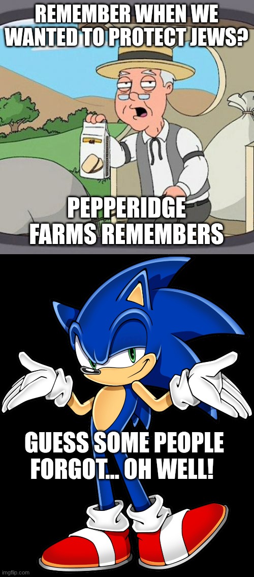 REMEMBER WHEN WE WANTED TO PROTECT JEWS? PEPPERIDGE FARMS REMEMBERS GUESS SOME PEOPLE FORGOT... OH WELL! | image tagged in memes,pepperidge farm remembers,sonic shrugging | made w/ Imgflip meme maker