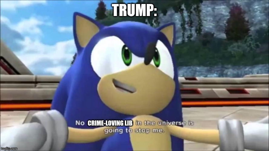 No copyright law in the universe | TRUMP: CRIME-LOVING LIB | image tagged in no copyright law in the universe | made w/ Imgflip meme maker