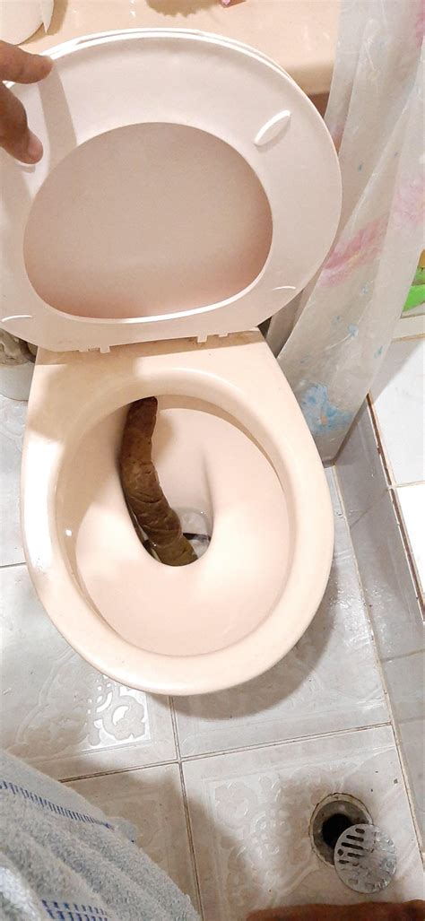 Turd Blank Meme Template