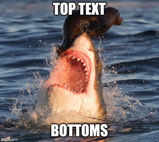 Are you Top Text or Bottom Text | TOP TEXT; BOTTOMS | image tagged in memes | made w/ Imgflip meme maker