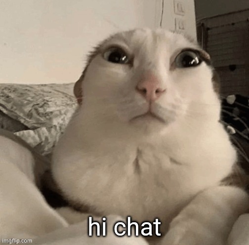 goober | hi chat | image tagged in goober | made w/ Imgflip meme maker