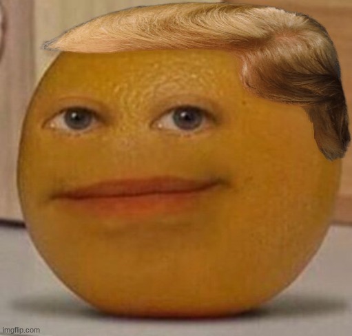 annoy orange | image tagged in annoy orange | made w/ Imgflip meme maker