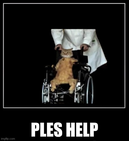 All endings meme | PLES HELP | image tagged in all endings meme | made w/ Imgflip meme maker