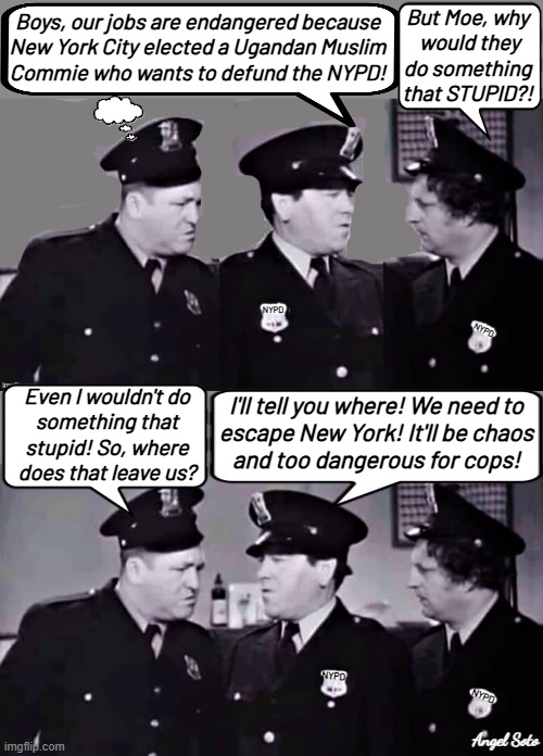 Mamdani defunding  the NYPD has the 3 stooges worried | But Moe, why
 would they do something that STUPID?! Boys, our jobs are endangered because
New York City elected a Ugandan Muslim
Commie who wants to defund the NYPD! NYPD; NYPD; Even I wouldn't do
something that
stupid! So, where
does that leave us? I'll tell you where! We need to
escape New York! It'll be chaos
and too dangerous for cops! NYPD; NYPD; Angel Soto | image tagged in the 3 stooges worried mamdani is defunding nypd,3 stooges,nypd,chaos,nyc,mamdani | made w/ Imgflip meme maker