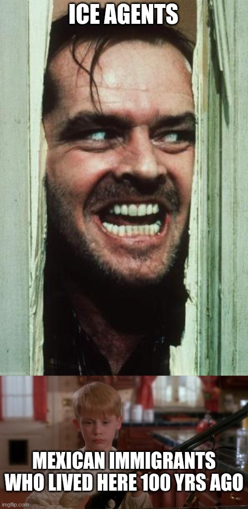 ice agents cooked | ICE AGENTS; MEXICAN IMMIGRANTS WHO LIVED HERE 100 YRS AGO | image tagged in memes,here's johnny | made w/ Imgflip meme maker