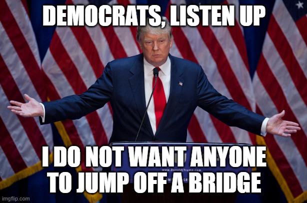 Donald Trump | DEMOCRATS, LISTEN UP I DO NOT WANT ANYONE TO JUMP OFF A BRIDGE | image tagged in donald trump | made w/ Imgflip meme maker