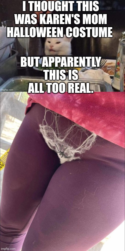 I THOUGHT THIS WAS KAREN'S MOM HALLOWEEN COSTUME; BUT APPARENTLY THIS IS ALL TOO REAL. | image tagged in smudge that darn cat | made w/ Imgflip meme maker