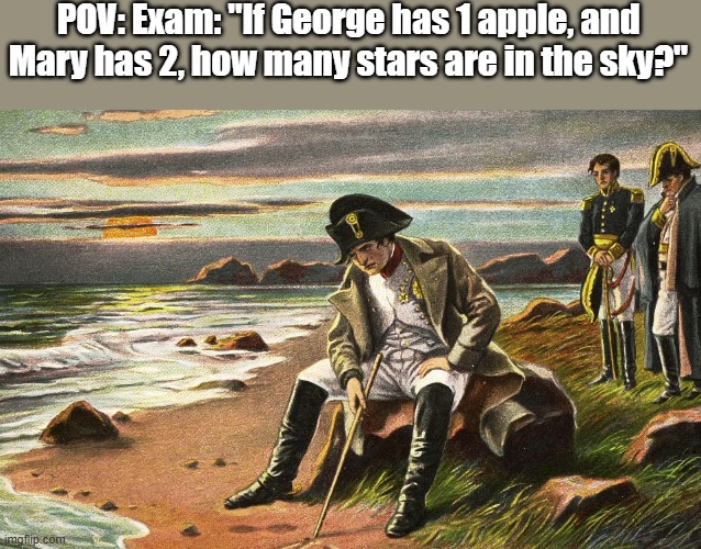 HOW MANY | POV: Exam: "If George has 1 apple, and Mary has 2, how many stars are in the sky?" | image tagged in napoleon,exams,school,stars,fun,funny memes | made w/ Imgflip meme maker