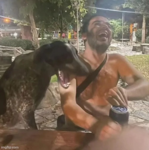 new template, feel free to use | image tagged in man and dog laughing | made w/ Imgflip meme maker