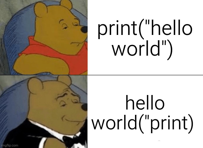 Idk how to explain | print("hello world"); hello world("print) | image tagged in memes,tuxedo winnie the pooh | made w/ Imgflip meme maker