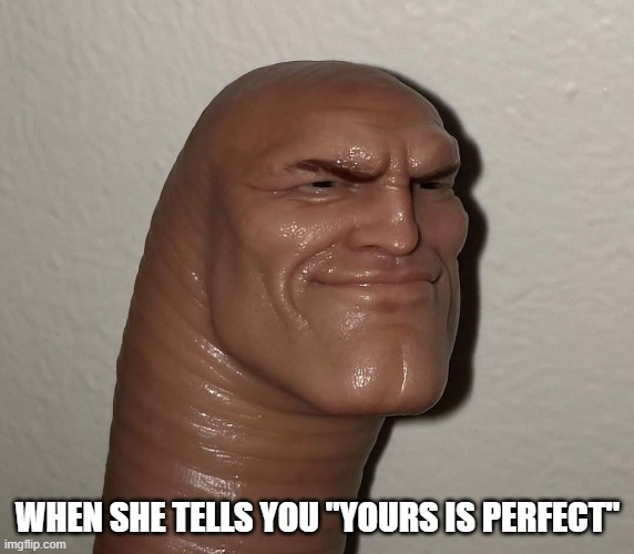 Proud Boy | WHEN SHE TELLS YOU "YOURS IS PERFECT" | image tagged in weiner,penis,dick pic | made w/ Imgflip meme maker