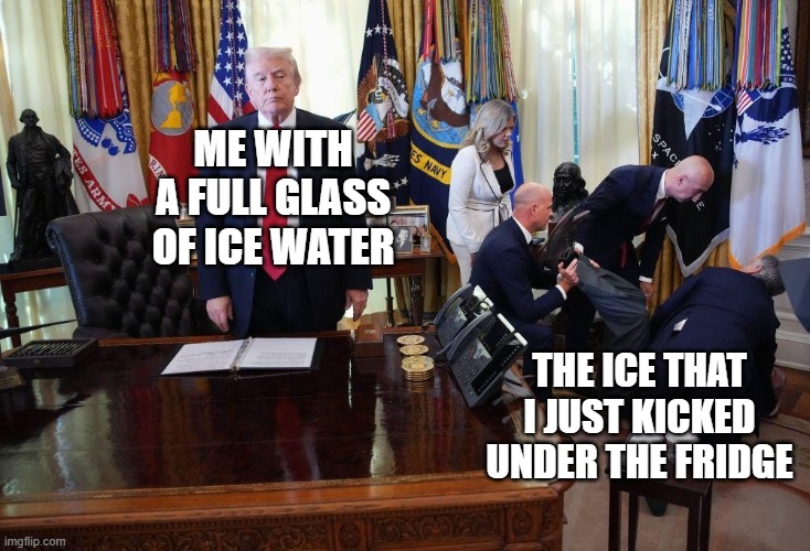 Trump caring about Americans | ME WITH A FULL GLASS OF ICE WATER; THE ICE THAT I JUST KICKED UNDER THE FRIDGE | image tagged in trump caring about americans | made w/ Imgflip meme maker