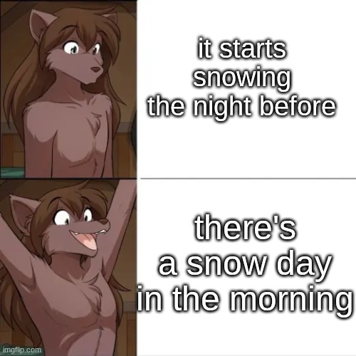 best feeling fr fr (artist is by thomas fishbach) | it starts snowing the night before; there's a snow day in the morning | image tagged in natani,woohoo,furry,twokinds | made w/ Imgflip meme maker