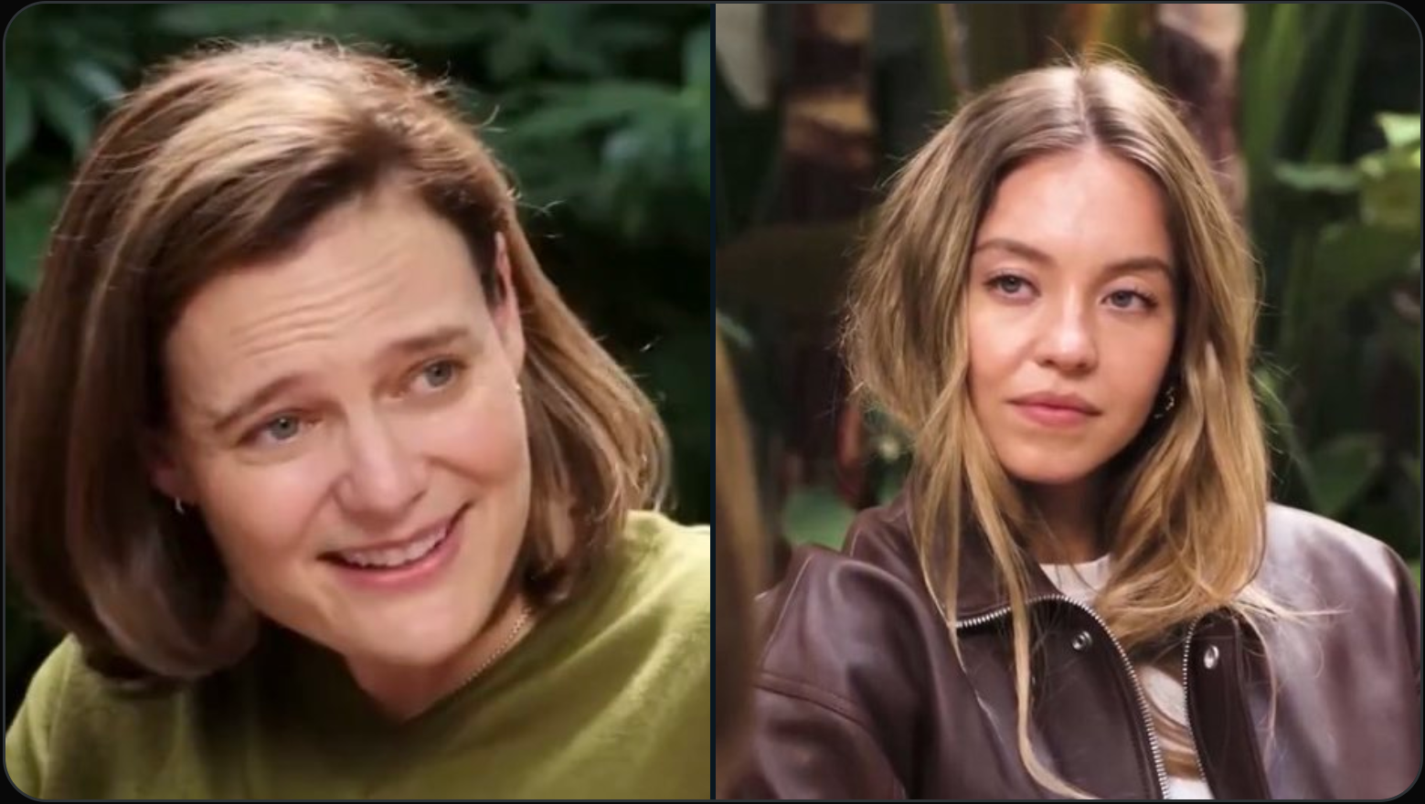 talk2Sweeney Blank Meme Template