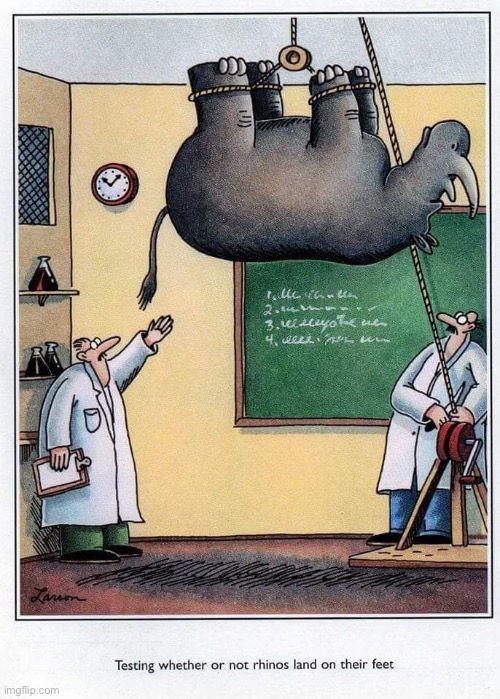 This can only end in tragedy… | image tagged in the far side,comics,research,rhino,upside-down,land on feet | made w/ Imgflip meme maker