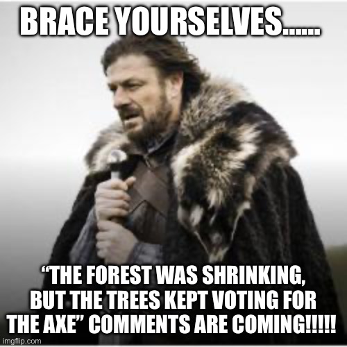 Brace yourselves | BRACE YOURSELVES……; “THE FOREST WAS SHRINKING, BUT THE TREES KEPT VOTING FOR THE AXE” COMMENTS ARE COMING!!!!! | image tagged in brace yourselves x is coming,funny memes,stupidity,stupid liberals,stupid humor,classic movies | made w/ Imgflip meme maker