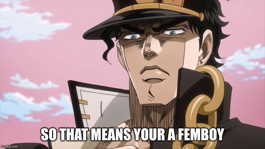 SO THAT MEANS YOUR A FEMBOY | image tagged in jotaro kujo face | made w/ Imgflip meme maker